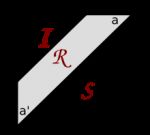 Orientado por lo&nbsp;real