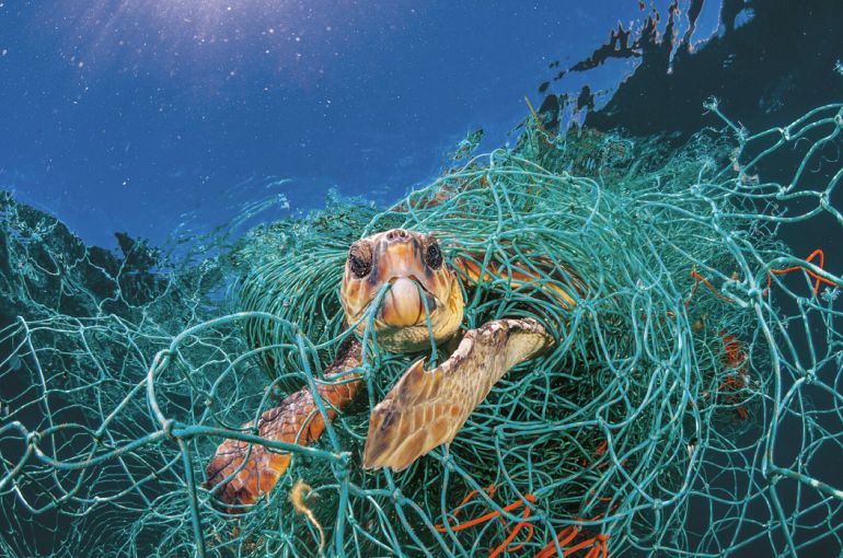 Verde, el color de la&nbsp;esperanza