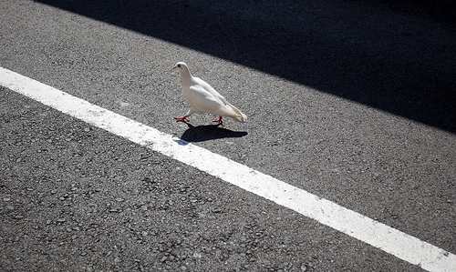 CORONAVIRUS:»¿Dónde están los reales?; ¿Hemos pasado la&nbsp;raya?