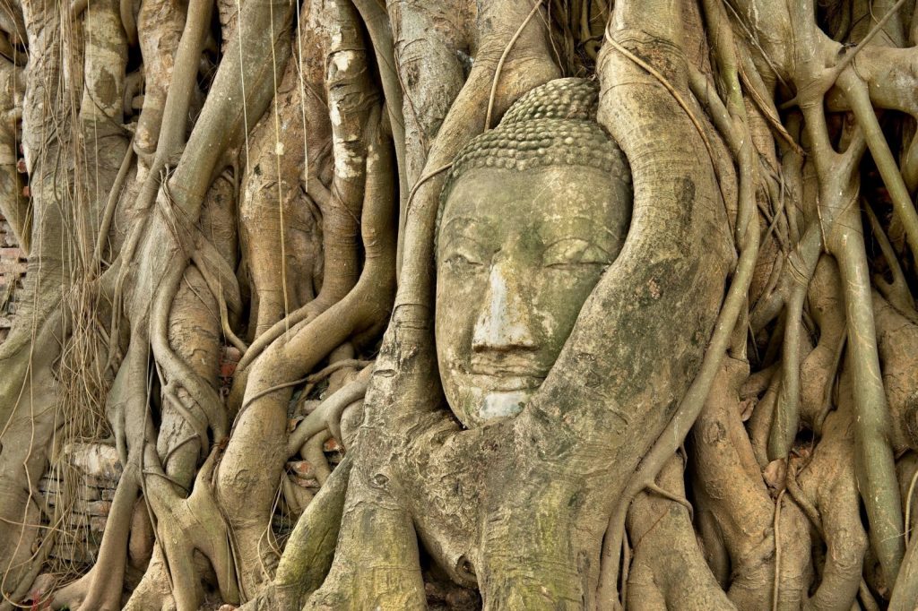 CORONAVIRUS: «Después de las&nbsp;ruinas»