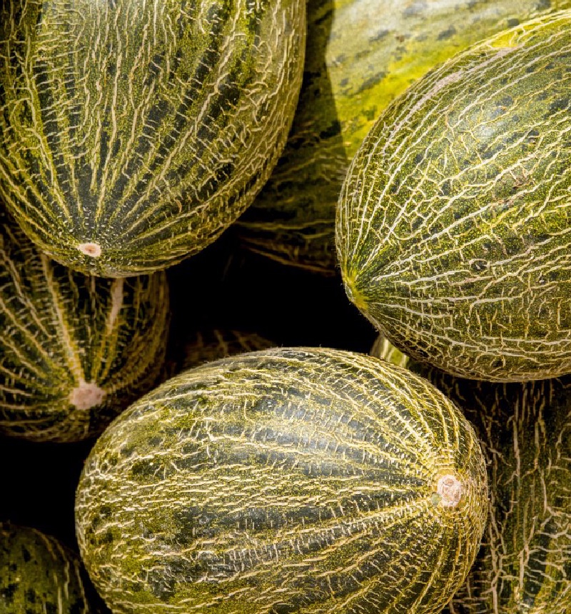 La política de lo&nbsp;obsceno