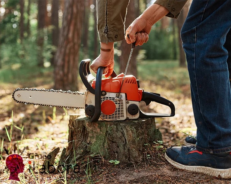 La dialéctica de la&nbsp;motosierra